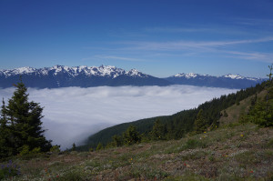 Hurricane Hill Hike Olympic National Park