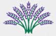 lavendergrowers