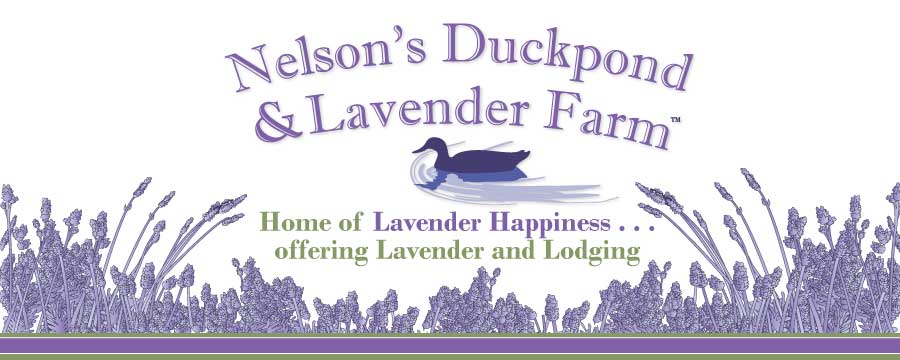 Nelsons' Duck Pond and Lavender Farm